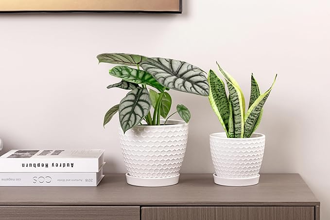 Docrin Ceramic Plant Pots Set of 2 (6.6"+5.5"), High-Fired Clay Indoor Planters with Drainage Holes & Saucer, Honeycomb Modern Home Decor for All House Plants