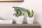 Docrin Ceramic Plant Pots Set of 2 (6.6"+5.5"), High-Fired Clay Indoor Planters with Drainage Holes & Saucer, Honeycomb Modern Home Decor for All House Plants