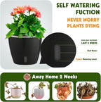 Self-Watering Pots for Indoor Plants, 6-Pack 6.7'' Self Watering Planter with Drainage Holes, Small African Violet Pots with Water Indicator, Clear Wick Pot, Black