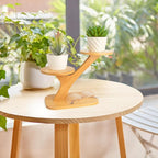 XXXFLOWER Wood Plant Stand for Indoor,Small Desktop Plant Stand,3 Tier Succulent Windowsill Shelf Holders for Balcony Home Office Garden Patio Gift（Pots NOT Included）