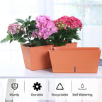 Window Box Planter 6 Pcs, 16.5 Inches Self Watering Rectangle Flower Plant Pots with Drainage Holes Trays, Vegetable Planters for Windowsill Patio Garden Balcony Porch Yard (Orange)