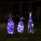 String Lights for Wine Bottles, 12 Pack, Solar Powered, Cool White