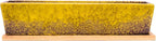Succulent Pots - Large Succulent Planter Pots with Drainage, 12 Inch Long Rectangle Bonsai Pot with Bamboo Tray Shallow Ceramic Cactus Flower Planter Window Box for Home Garden Decor (Yellow)