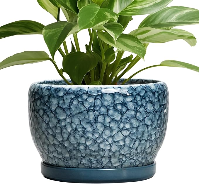 SQOWL 8 inch Plant Pot - Ceramic Pots for Plants Indoor, Decorative Plant Pot with Drainage Hole and Saucer, Ceramic Flower Pots Outdoor, Round Planter, Living Room Decor, Garden Gifts for Women, Blue