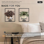 Sisher Plant Stand Indoor Outdoor,Window Plant Shelf Picture Frame Wall Plant Stand Metal Wall Plant Shelf Ease of Assembly Modern Style for Home Decor (Square 3-pack)