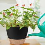 12 inch Large Self Watering Plant Pots, Flower Pots Planters with Multi Mesh Drainage Holes for Indoor Outdoor Garden Plants and Flowers.（Black）