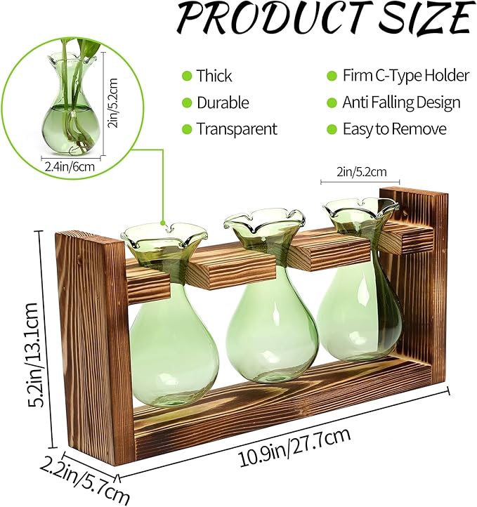 Terrarium Set with Three Green Bulb Glass Bottles and Wooden Stand