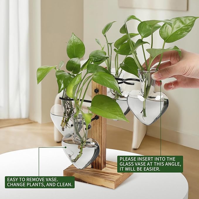 Terrarium Heart Glass Planter Set with Wood Stand and 4 Hangers