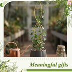 3 Pcs 15.75 Inch Indoor Plant Trellis for Potted Plants Small Climbing Plant Trellis for Pots with Unique DNA Spiral Design for Vine Plants, Easy Installation for Indoor Outdoor Use