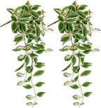 Artificial Peperomia Hanging Plants, 2 Pack, 26-Inch PVC Faux Greenery