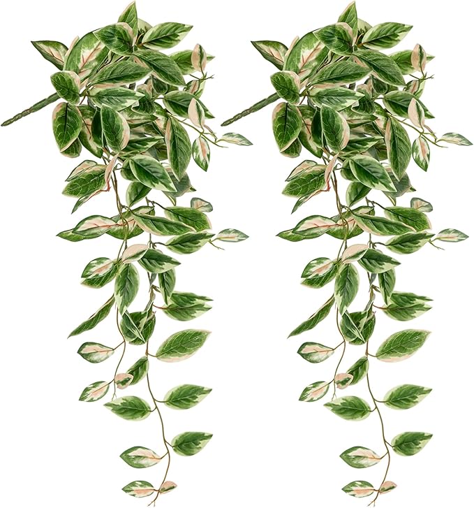 Artificial Peperomia Hanging Plants, 2 Pack, 26-Inch PVC Faux Greenery