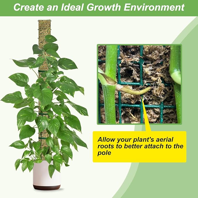 60"/40"/24" Metal Moss Pole, D Shape Sphagnum Moss Pole, Moss Poles for Climbing Plants, Monstera, Indoor Climbing Plants (2 Each of 60" 40" 24")