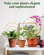 Unique Round Hoya Trellis, 3 Pcs Different Small Houseplant Trellis for Indoor Climbing Plant, Garden Trellis Plant Support for Potted Ivy and Flowers Outdoor(Gold)