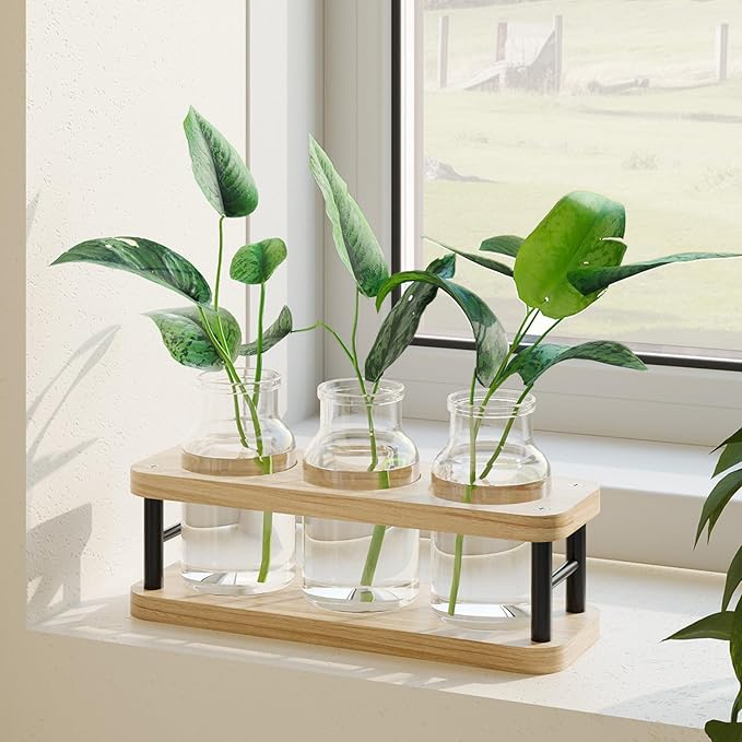 Terrarium Propagation Station, Wood Stand with 3 Glass Jars