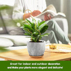 13.4 Inch Indoor Plant Trellis for Climbing Plants,Metal Trellis,Small Garden Trellis for Potted Plants,Plant Stakes for Indoor Plants Accessories Hoya,Flower,Plant Support (Wave-Metal)