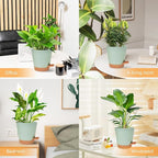 Planters for Indoor Plants 7/6.5/6/5.5/5 Inch, Self Watering Planters with Drainage Holes and Saucers 5 Pack Plastic Pots for Plants, Succulents, Herbs, Cactus, Flower Pots, Green