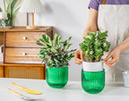 Melphoe Self Watering Pots for Indoor Plants Planter, 5.3 Inch 2 Pack Planters Self Watering Plant Pots for Flower, Houseplants, Succulent, African Violets and Cactus with Drainage