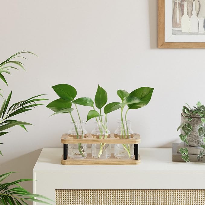 Terrarium Propagation Station, Wood Stand with 3 Glass Jars