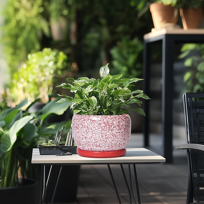 SQOWL Ceramic Pots for Plants - 8 inch Indoor Planter with Drainage Hole and Tray, Ceramic Flower Pot Outdoor, Round Decorative Planter, Bedroom Decor, Gifts for Plant Lovers, Red and White