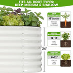 Galvanized Raised Garden Bed Outdoor 24'' Deep | Oval Metal Garden Beds with Easy Assembly & Planter Box for Planting Deep Root Vegetables Fruits Flowers, 6x2x2ft White