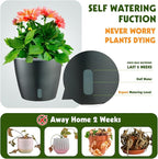 Self Watering Pots for Indoor Plants, 6-Pack 6.7'' Self Watering Planter with Drainage Holes, Small African Violet Pots with Water Indicator, Clear Wick Orchid Pot, Grey Gold