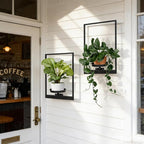 Wall Plant Holder Window Plant Shelves Set of 2, Wall Planters for Indoor Plants - Premium Metal Hanging Plant Holder for Indoor Outdoor Decor