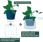 D'vine Dev 8 Inch Design Self Watering Planter for Indoor Plants, Blue Terracotta Pot with Cylinder Glass Cup, 37-X-C-4