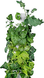 HX Aeroponic Tower | High Capacity Tower | Hydroponics Growing System Kit | Food Grade with 40 Net Pots (Without Lights)