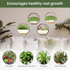 IRYL Wall Planter for Indoor Plants - Ceramic Wall Hanging Planter Set with Bamboo Tray & Hooks - Decorative Wall Plant Holder - Modern Wall Planters for Vertical Garden Home Decor - Golden