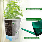 Cdd's Path Large Naked Root Planter Self Watering Pots Set with Holes for Indoor/Outdoor Plants, Planter Pot with Watering Hole/Reservior and Air Pipes (Clear, 8 inch-5 Pack)