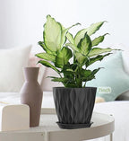 4/4.5/5/5.5/6/6.5/7 Inch Plant Pots,7 Pack Flower Pots with Drainage Holes and Trays,Plastic Planters for Indoor Outdoor Plants Growth,Black