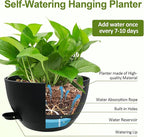 WOUSIWER Self Watering Hanging Planters, 2 Pack 12'' Plastic Pots with Drainage Holes & Reservoir Tray (Black) | Indoor & Outdoor Use for Ferns, Ivy, Herbs, Succulents