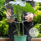 5PCS Monstera Plant Stem Support White 9 * 7.6in - Durable Stake Holder for Indoor Climbing Plants, Adjustable Installation Ideal for Fishbone Cactus and Plant Enthusiasts