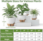 Plant Pots, 12" 10" 6" 8" Inch Self Watering Pots with Water Level Indicator, Set of 5 Flower Pots Indoor with Drainage Holes, Modern Planters for Indoor Outdoor Plants, Room & Office Décor