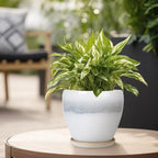 6.3 Inch Plant Pot - Ceramic Planters for Indoor Ourdoor Plants, Modern Succulent Pot, Round Planter with Drainage Hole and Saucer, Room Office Garden Home Decor, Plant Lover Gift, White-Grey
