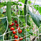 Trellis Netting, CANAGROW Heavy-Duty Garden Plant Trellis Netting for Climbing Plants, Outdoor Indoor Grow Net for Beans Tomatoes Peas Pumpkin Flowers, 𝟔 𝐱 𝟏𝟓𝐟𝐭, Pack of 4
