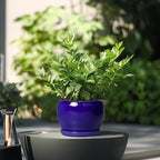 SQOWL Ceramic Planters for Indoor Plants - 6 Inch Plant Pot with Drainage Hole and Saucer, Round Small Planter, Modern Decorative Flower Pot Outdoor, Living Room Decor, Garden Gifts for Women, Blue