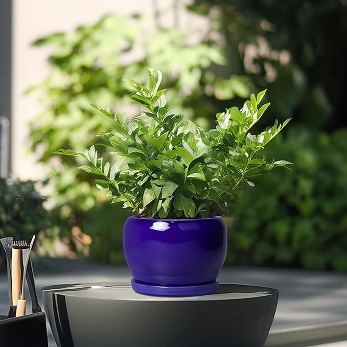 SQOWL Ceramic Planters for Indoor Plants - 6 Inch Plant Pot with Drainage Hole and Saucer, Round Small Planter, Modern Decorative Flower Pot Outdoor, Living Room Decor, Garden Gifts for Women, Blue