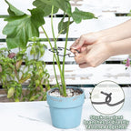 Monstera Plant Stem Support Set - 5pcs 4.13x2.95 inches Durable Supports for Indoor Climbing Plants - Easy-to-Use Stabilizers for Healthy Growth and Elegant Garden Decor