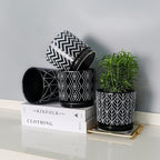 Ton Sin Flower Pots,5.5 Inch Black Ceramic Planter with Drainage Hole,Indoor Cylinder Plant Pots with Saucer,Cactus Succulent Outdoor Garden Pots Set of 4