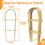 Avalution 10 Pack Bamboo U Trellis for Climbing Plants, 2ft Garden Ladder Trellis for Potted Plants Indoor, Ladder Small Plant Support Trellis for Houseplants Ivy Hoya Vine Monstera