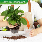 40 Pack 3.3 Inch Clear Nursery Pots for Plants, Sturdy Plastic Plant Pot for Planting Vegetables Flowers Seedlings, Transparent Seed Starter Pots with Drainage Holes, Gardening Gifts(40P-3.3"Clear)