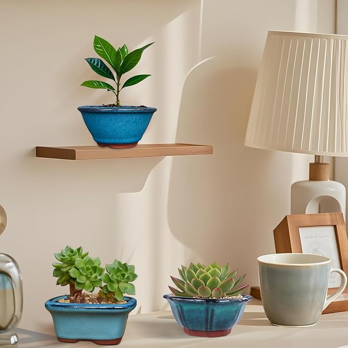 Planters: 6-Pack Blue Glazed Ceramic Mini Bonsai Pots with Drainage Holes
