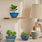 Planters: 6-Pack Blue Glazed Ceramic Mini Bonsai Pots with Drainage Holes