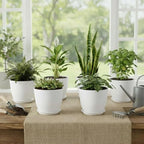 Plant Pots 8 Inch Set of 6, Flower Pots with Drainage Holes and Saucer, Plastic Garden Planters for Indoor & Outdoor Plants (White)