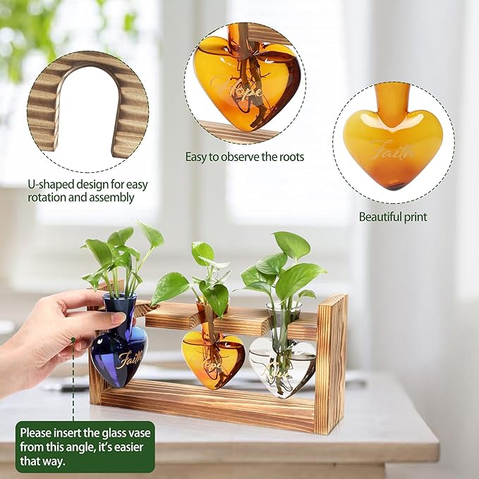 Terrarium Set with Heart Shaped Glass Vases and Wood Stand, 3 Pieces