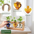 Terrarium Set with Heart Shaped Glass Vases and Wood Stand, 3 Pieces