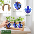 Terrarium Set with Heart Shaped Glass Vases, Wood Stand, Blue