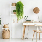 4 Pack Fake Hanging Plants, 38" Artificial Hanging Eucalyptus Plants Greenery Vines UV Resistant Faux Trailing Plants for Indoor Outdoor Wall Shelf Porch Boho Home Patio Decor(4PCS Green)