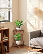 Tall Plant Stand Indoor, Wooden 2 Tier Plant Shelf for Multiple Plants,Corner Square Plant Display Rack,65in Flower Potted Stand for Living Room Balcony Bedroom Office